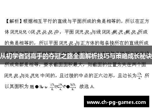 从初学者到高手的夺冠之路全面解析技巧与策略成长秘诀